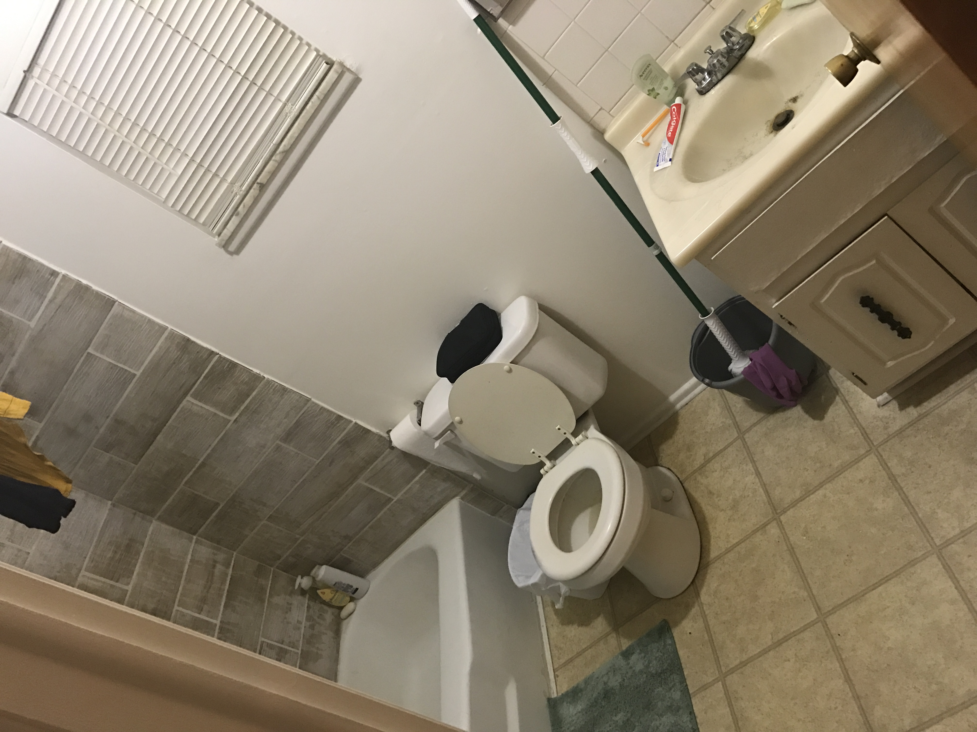 IMG 0005