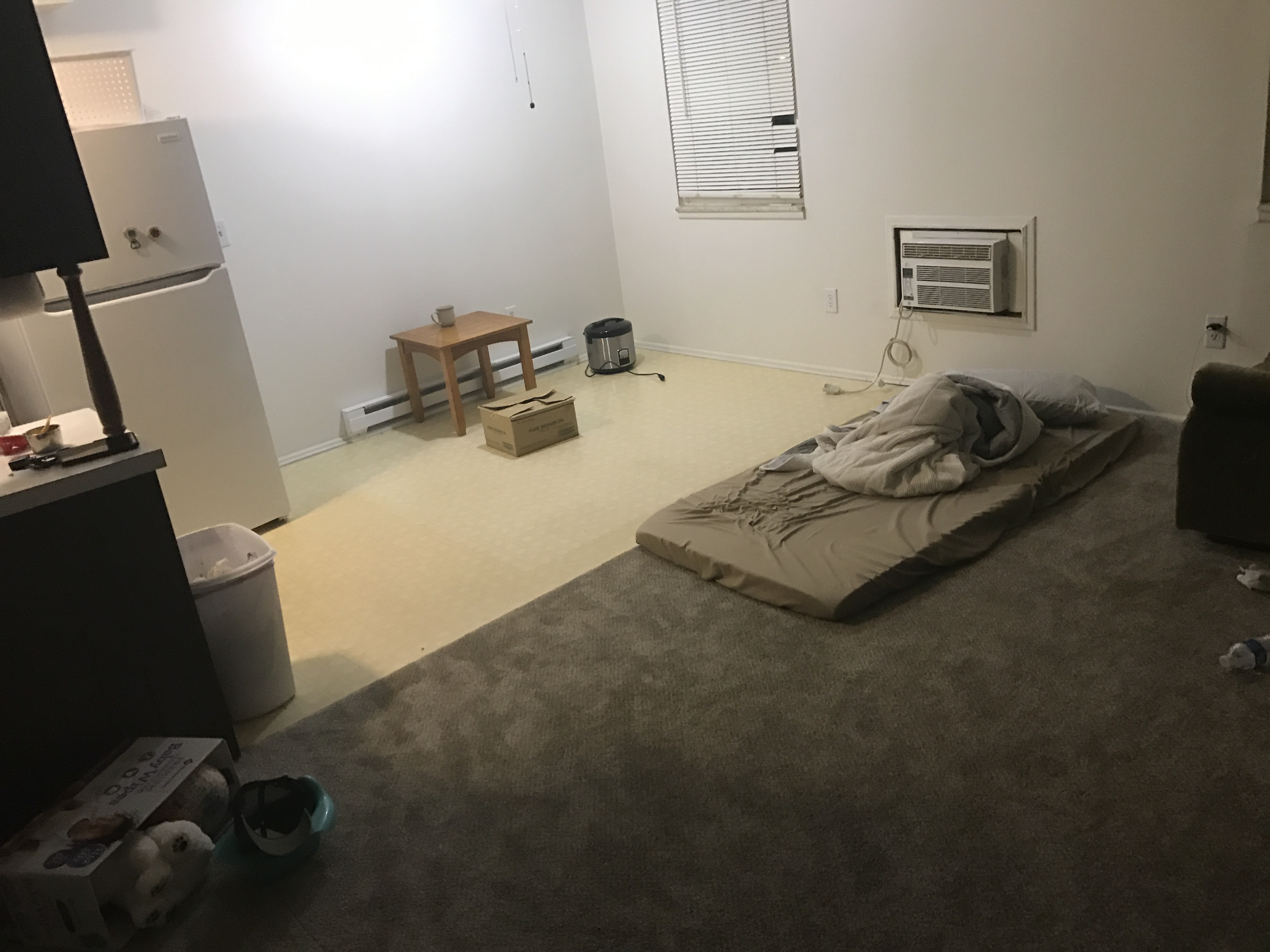 IMG 0006