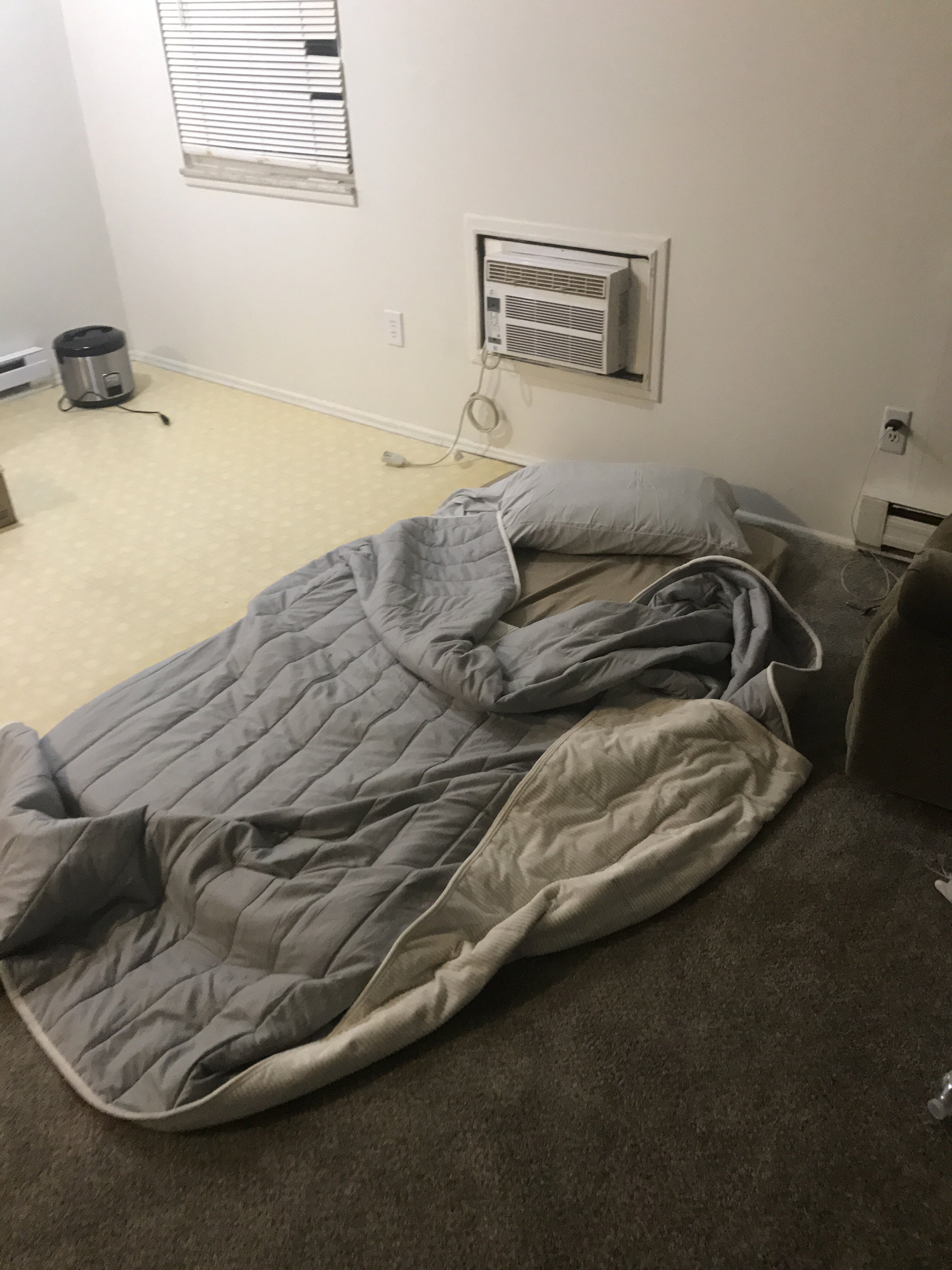 IMG 0041