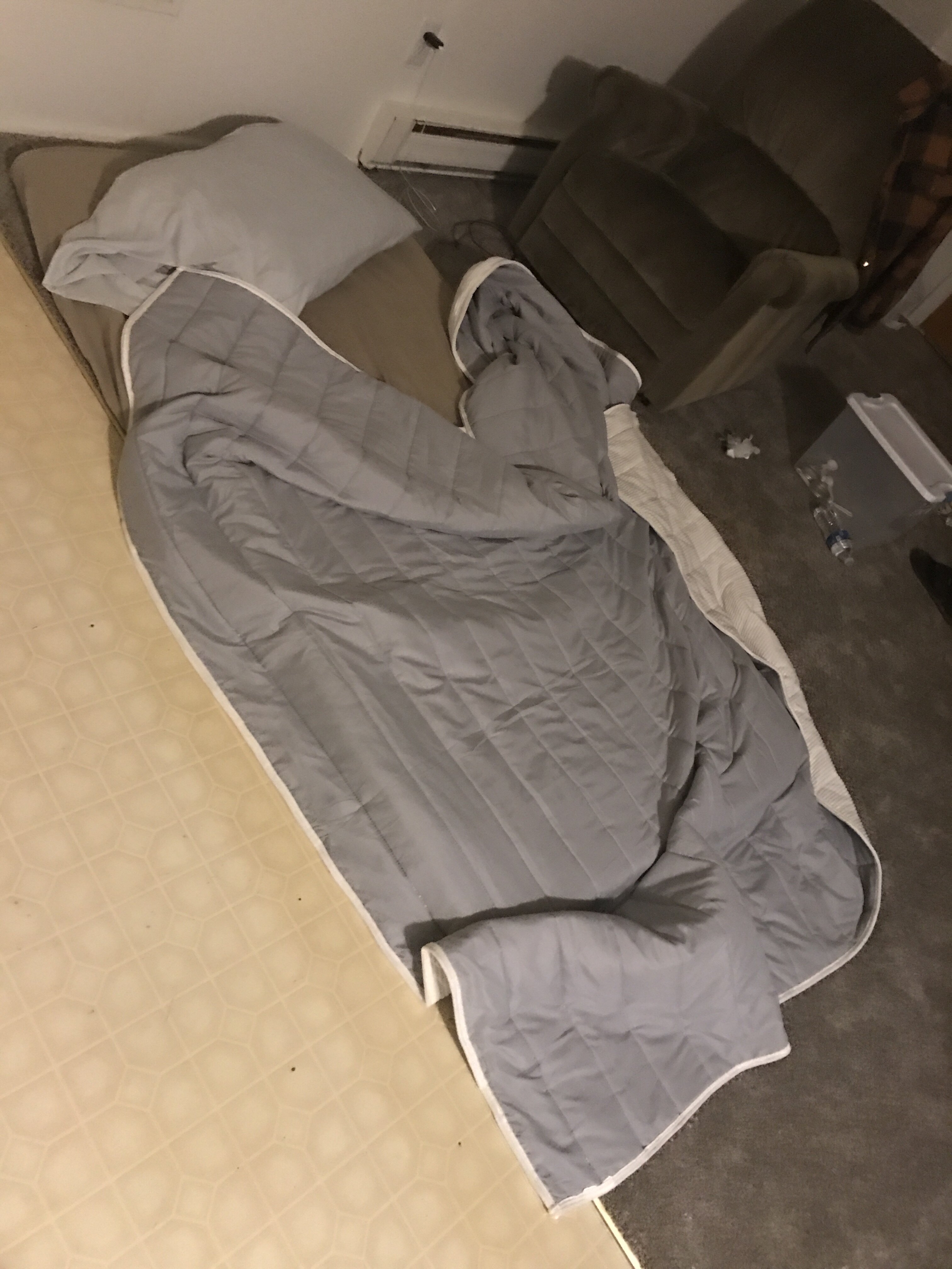 IMG 0079