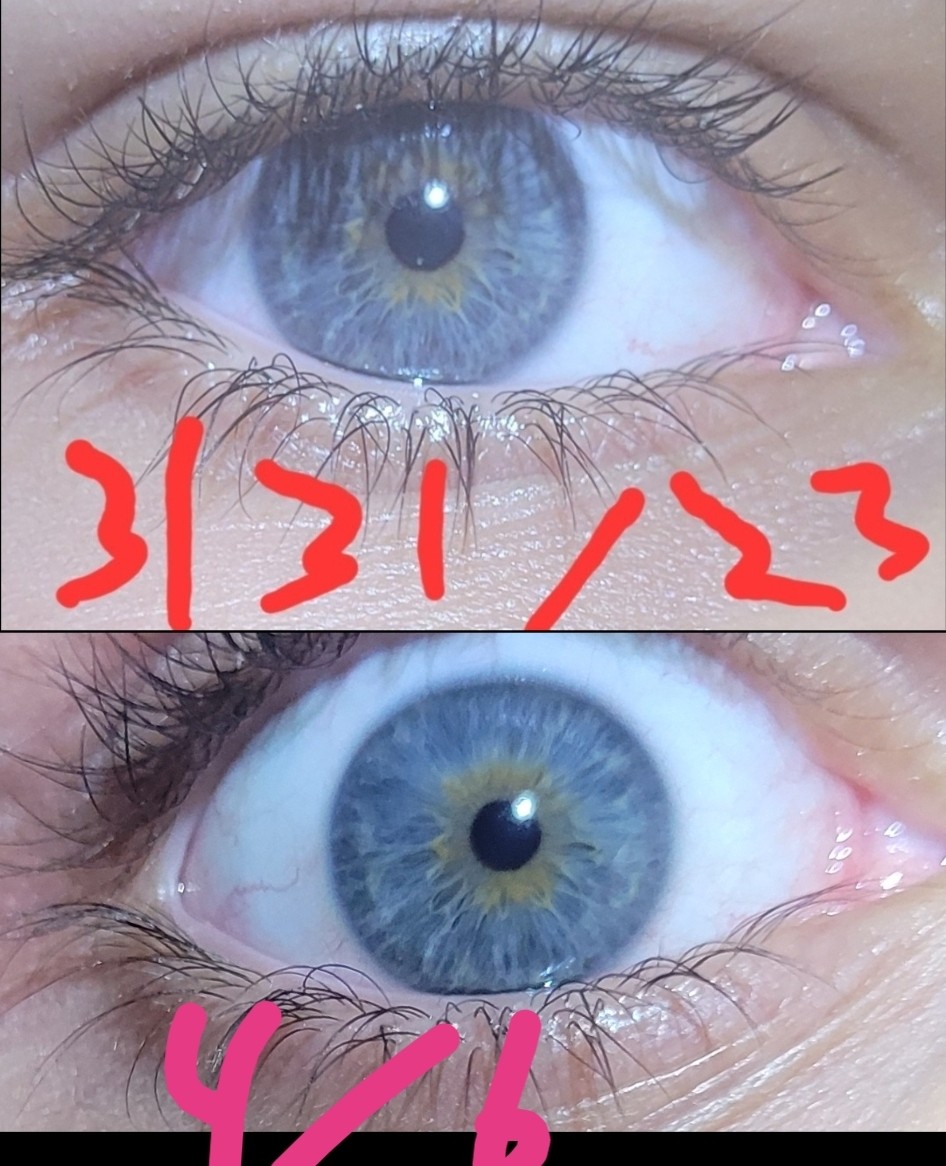 Screenshot 20230406 125649 PicCollage