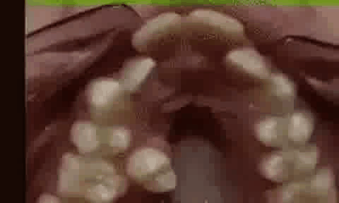 GifMeme22021017122022