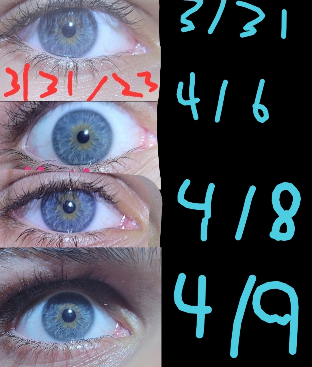 Screenshot 20230408 153326 PicCollage