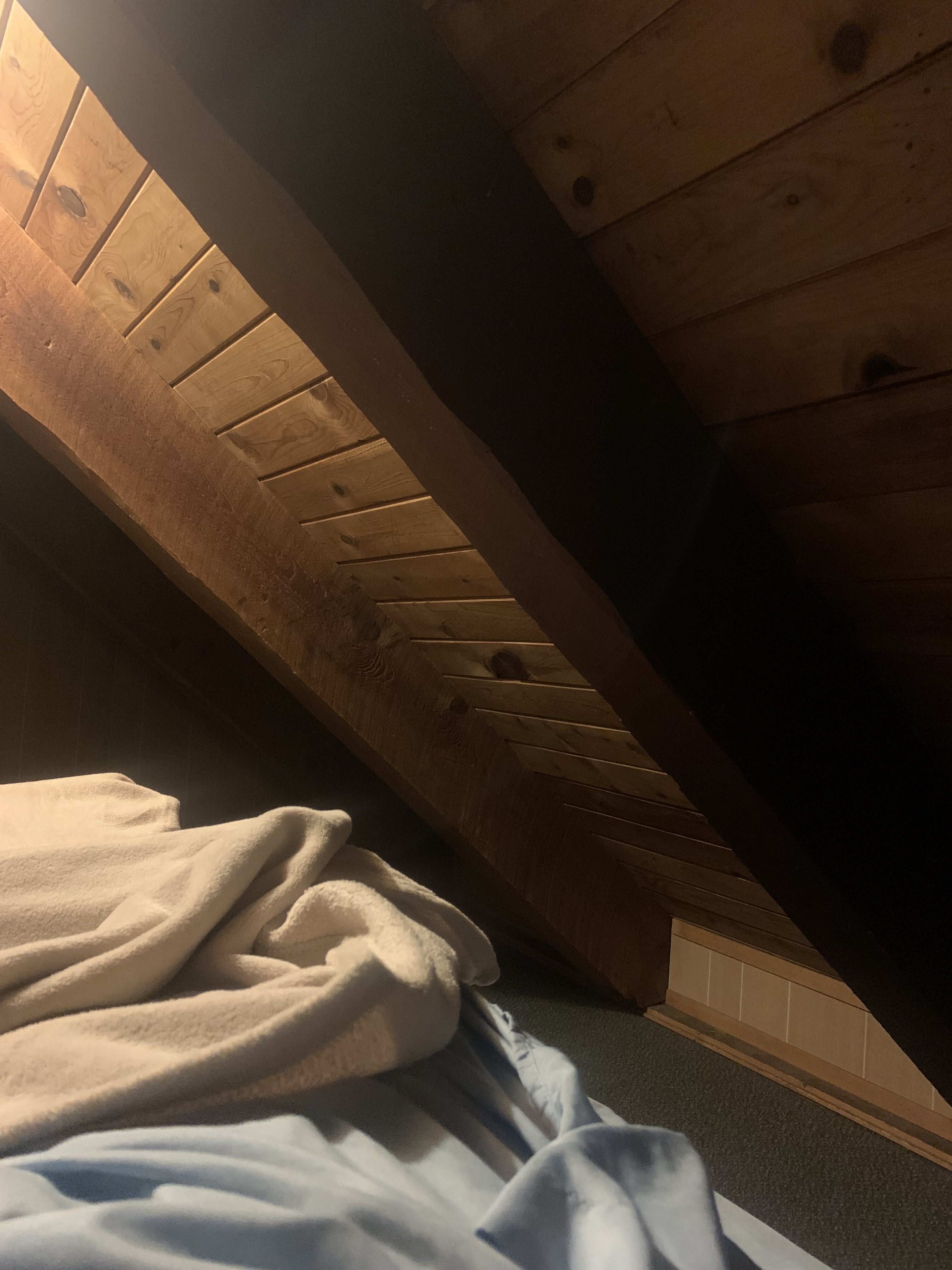 51B63D13 3A4E 4CC8 98B8 73459B3680DA