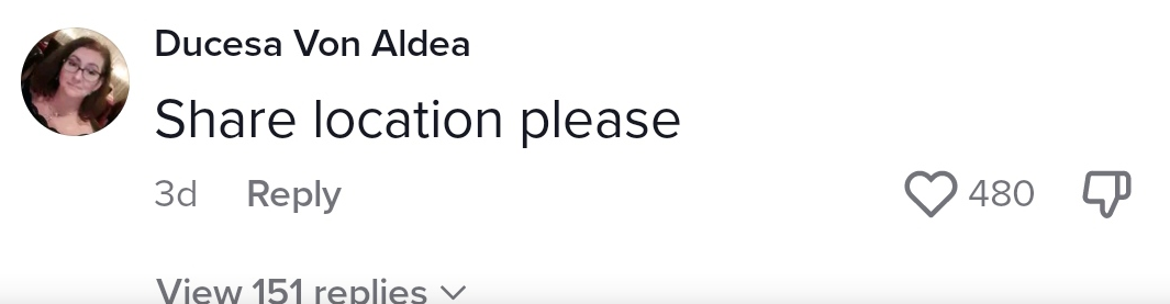 Screenshot 2023 04 10 at 14 56 03 Bbc is now allowed on tiktok