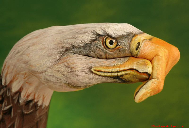 Eagle Head Hand HQ wallpapers4ublogspotcom
