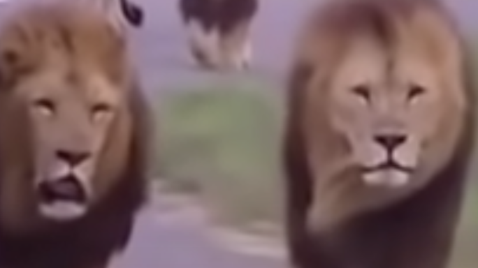 3325843 1679330258806