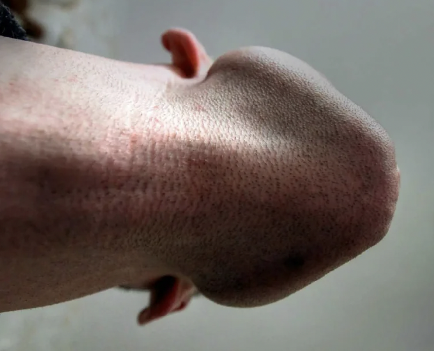 1681232014831