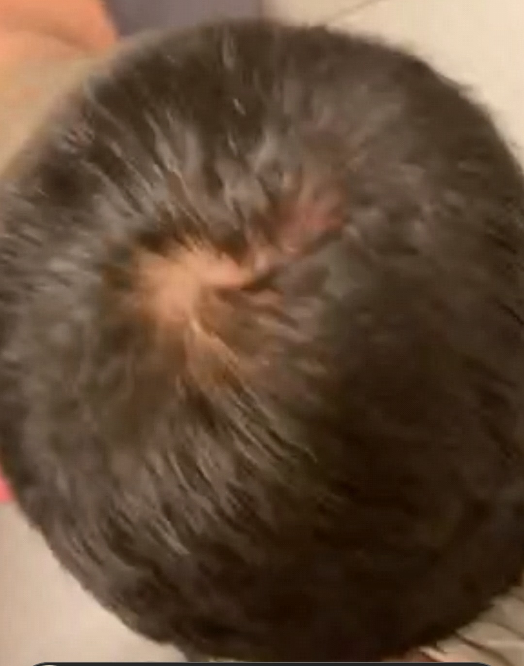 Screenshot 20230412 001526 Messenger