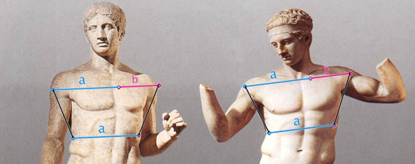 Golden ratio bodybuilding