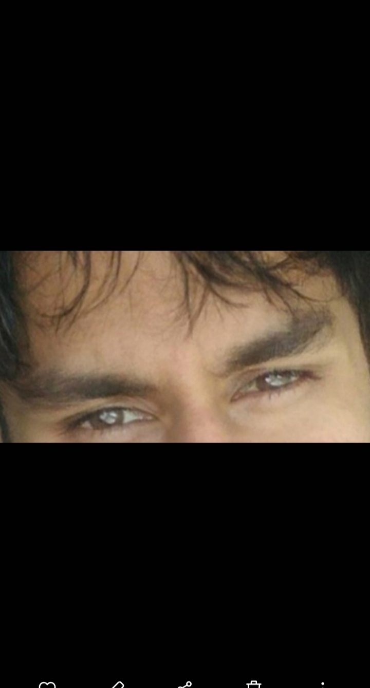 Screenshot 20230413 125451 Gallery