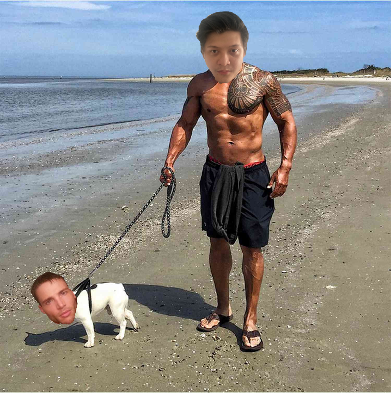 Marsik vs amnesia