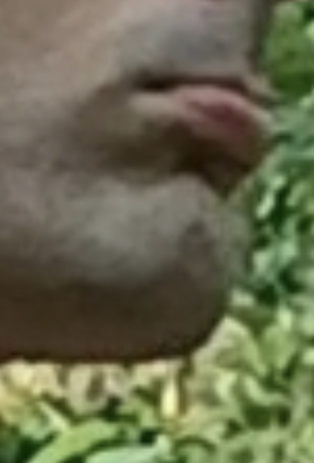 D36F4FEA C795 4D9C B35D 6545CD30A05D