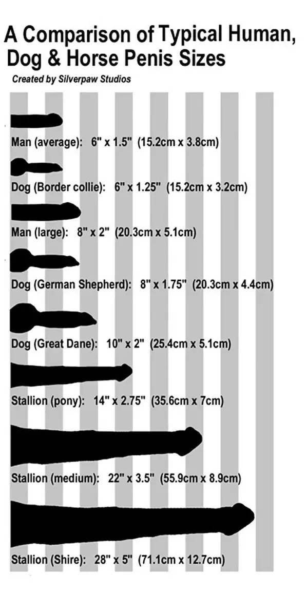 517FB9C7 7606 43DE 8556 83DB55E2909B