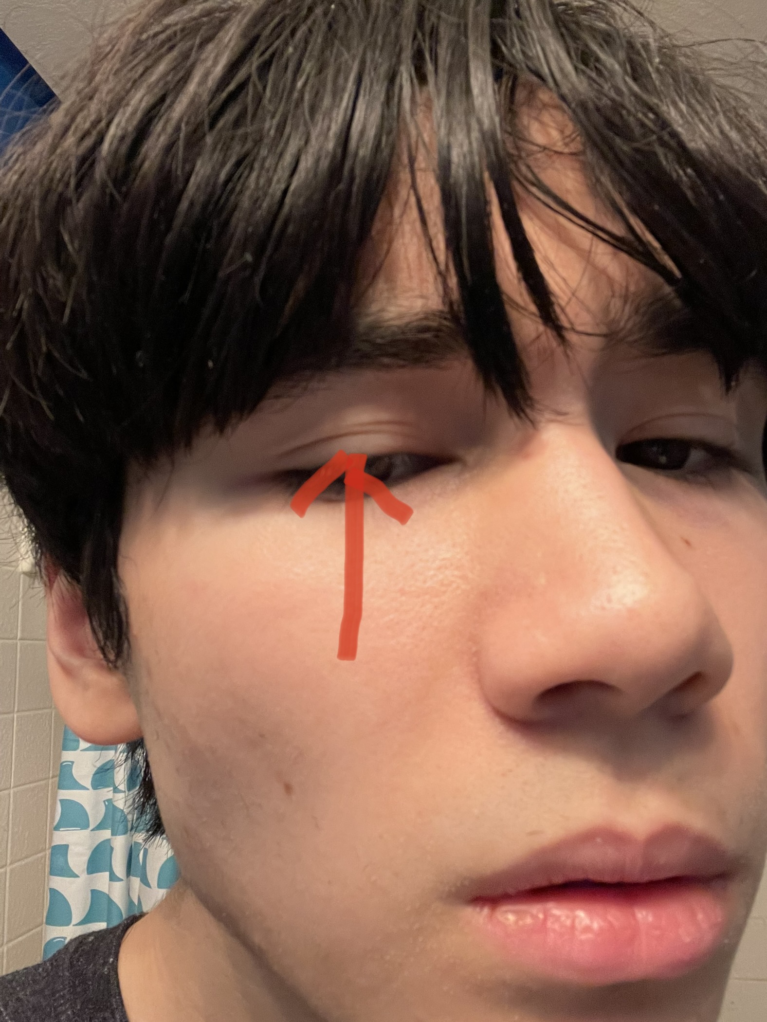 02EF1594 DD08 438B B67C 434061172897