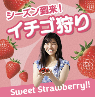 3354714 1681192513669