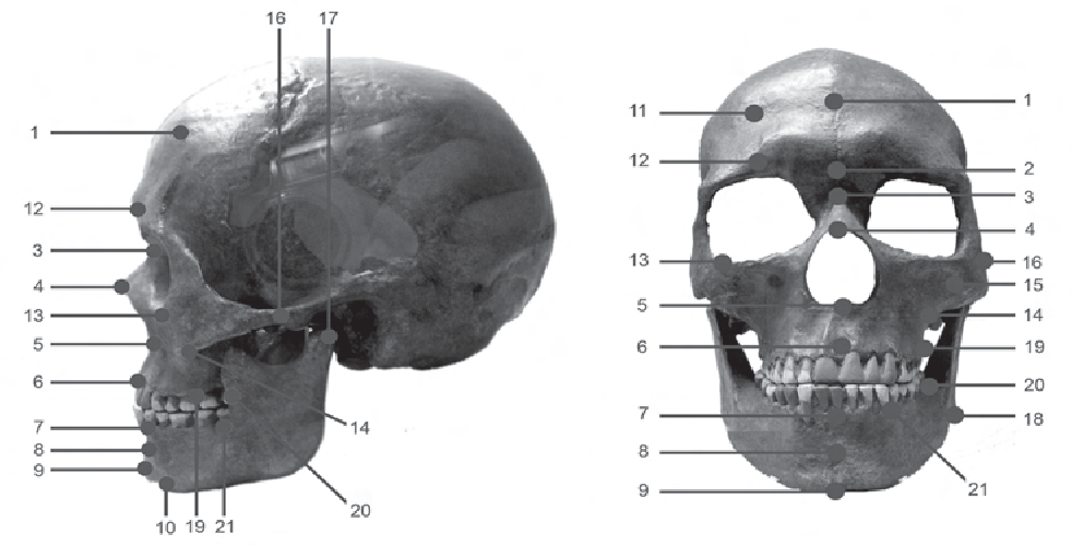 3 Figure3 1