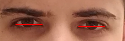 1681585670161