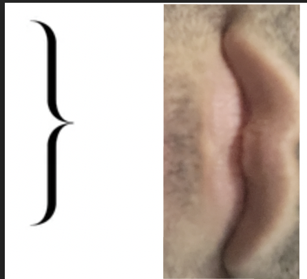 1681702034729