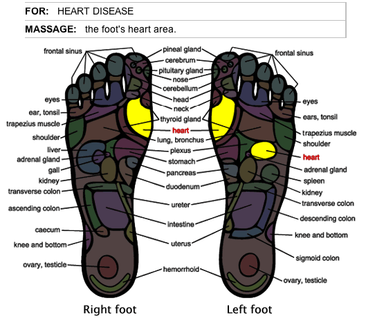 Massage chart for Heart Disease Massage chart for Heart Disease