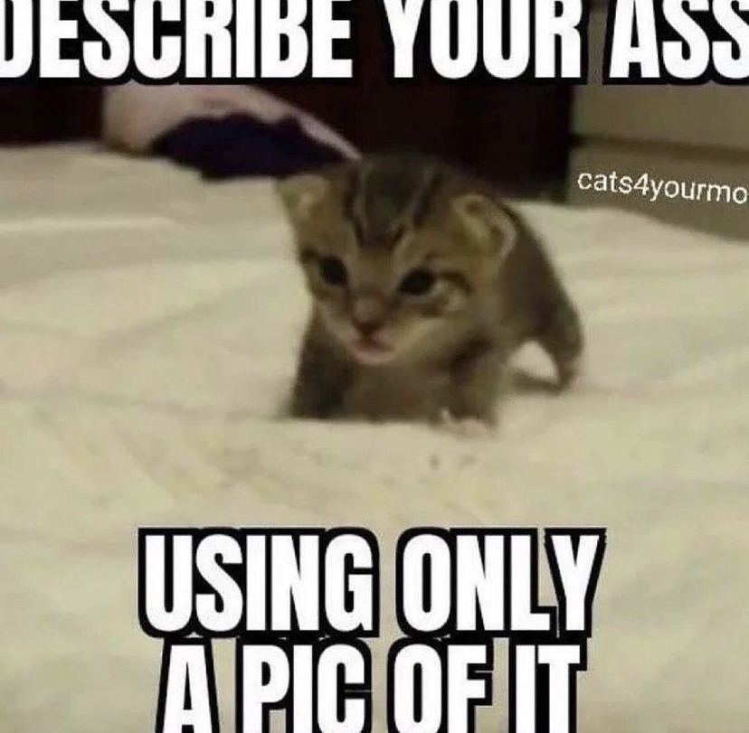 E09ABF1B 9B1F 4A25 BB7F AAC25BC4B961