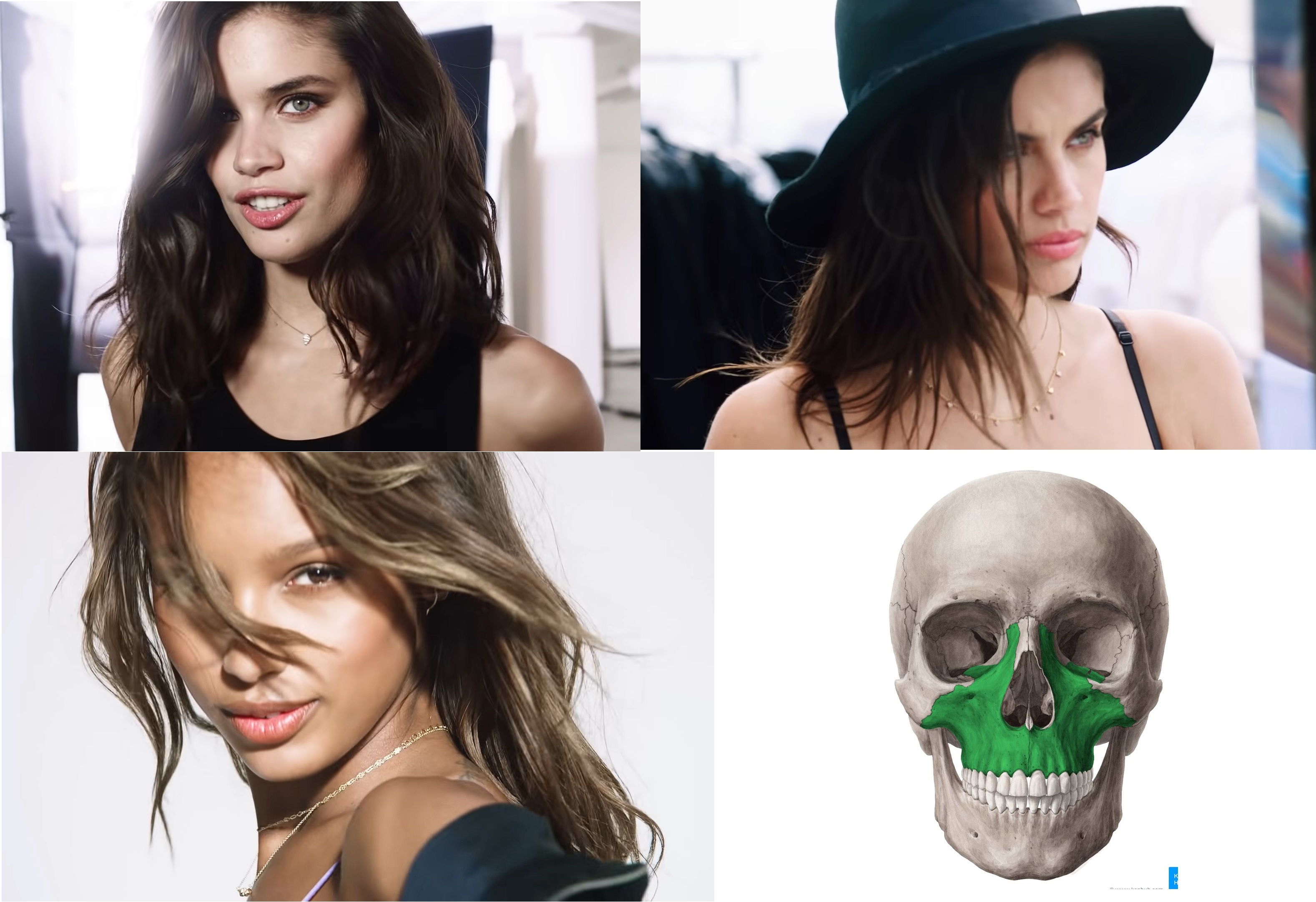 Comment 1653429415e5krtBA8dNigh74Jul2VZX