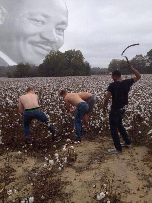 09F586C4 3DBB 4B1D 8412 FA124C54D471