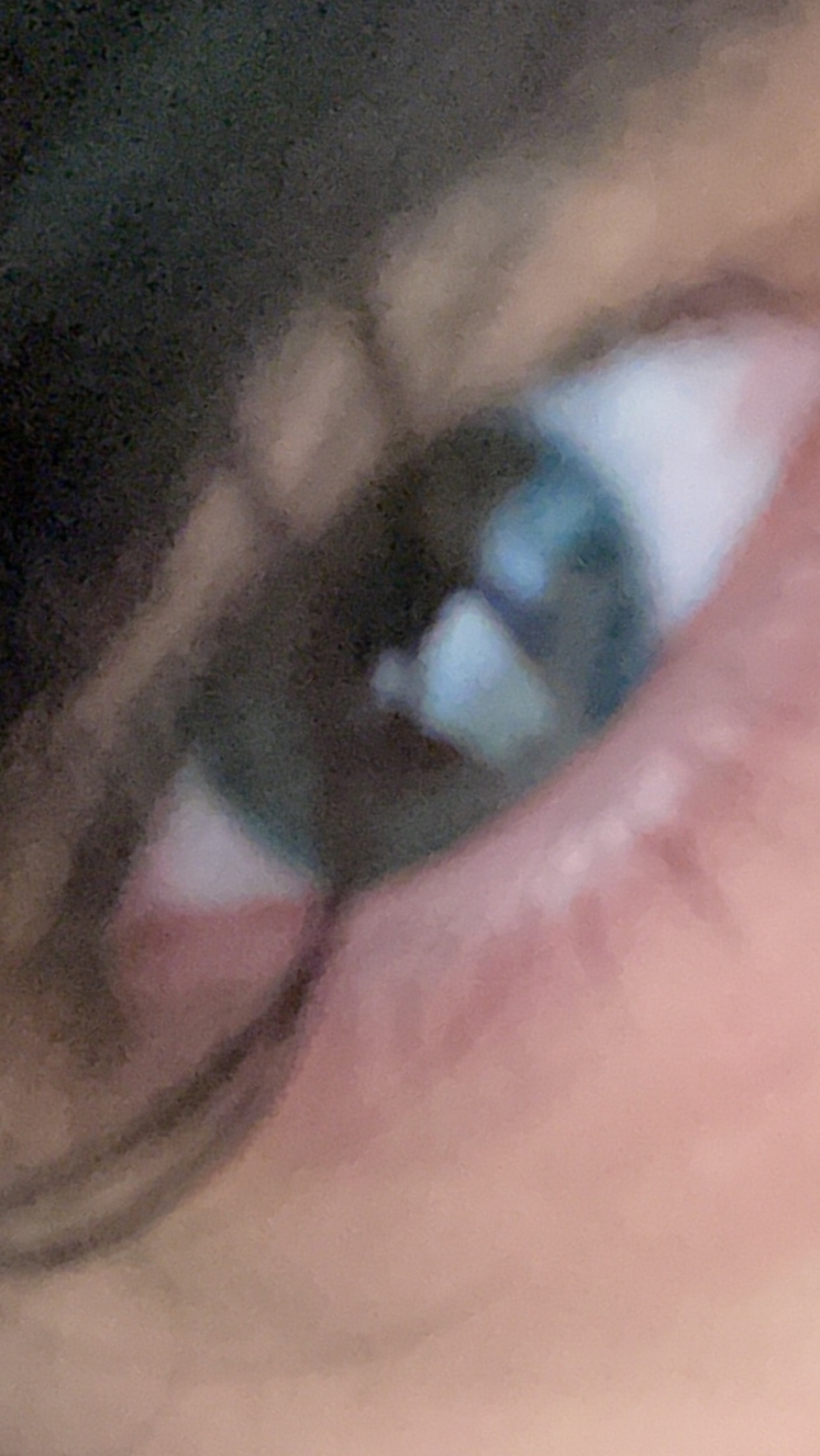 7D72DF0A 338D 49ED 80C4 5FCA186FC0A6