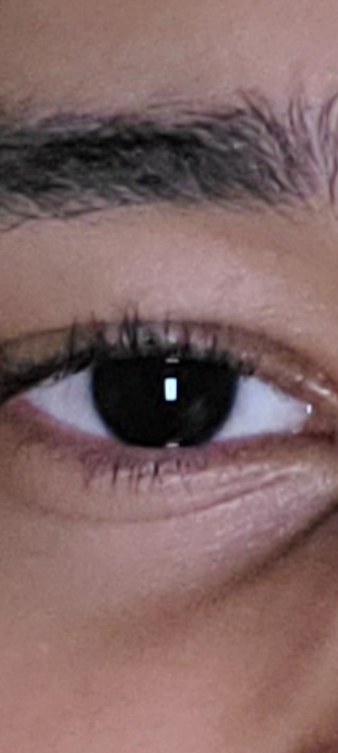 Screenshot 20230421 091320 Gallery