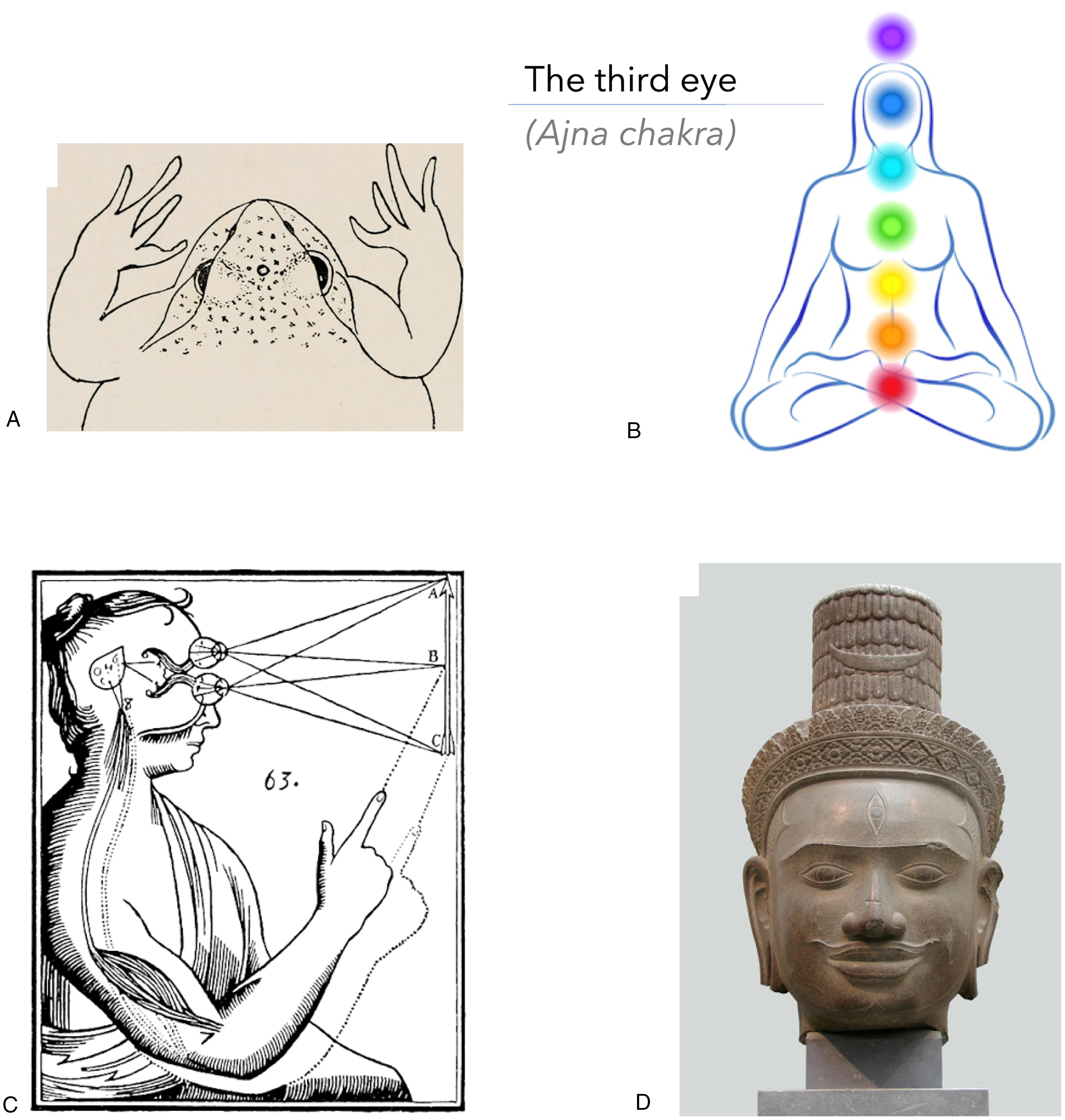 101177 2041669520927722 fig4