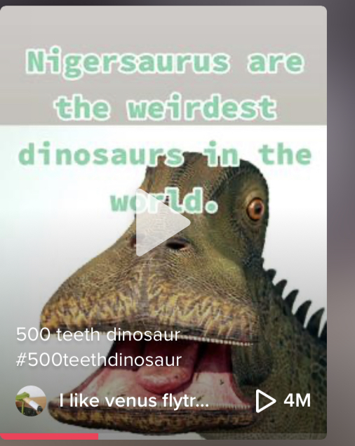 183EA686 50D7 4936 A35D 3AE3CA34E1B2