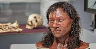 Cheddar Man: Mesolithic Britain's blue-eyed boy | Natural History Museum