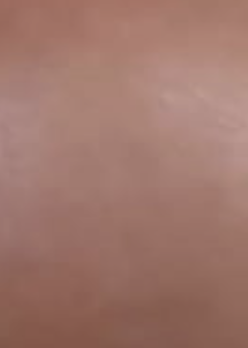 1682626794195