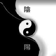 IMG 3787