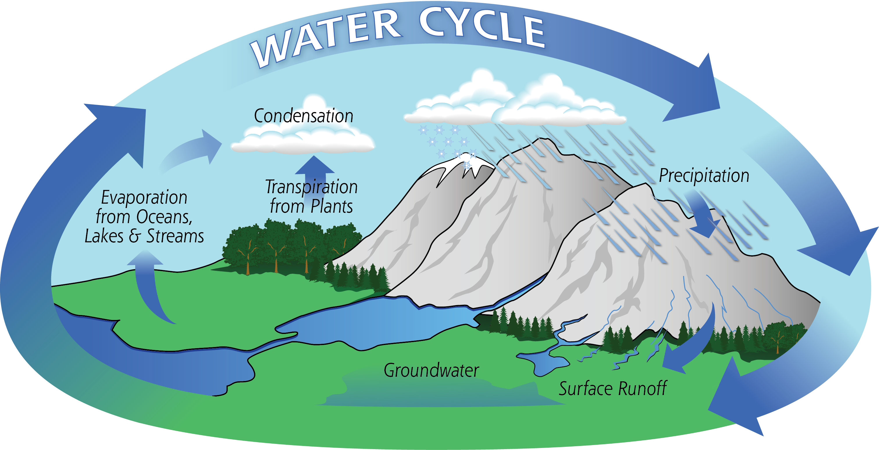Water
