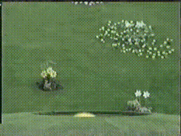 VID 20230426 WA0003