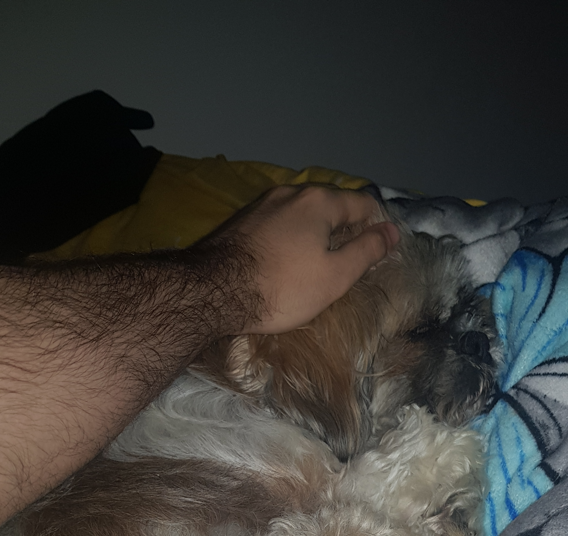 IMG 20230429 094934