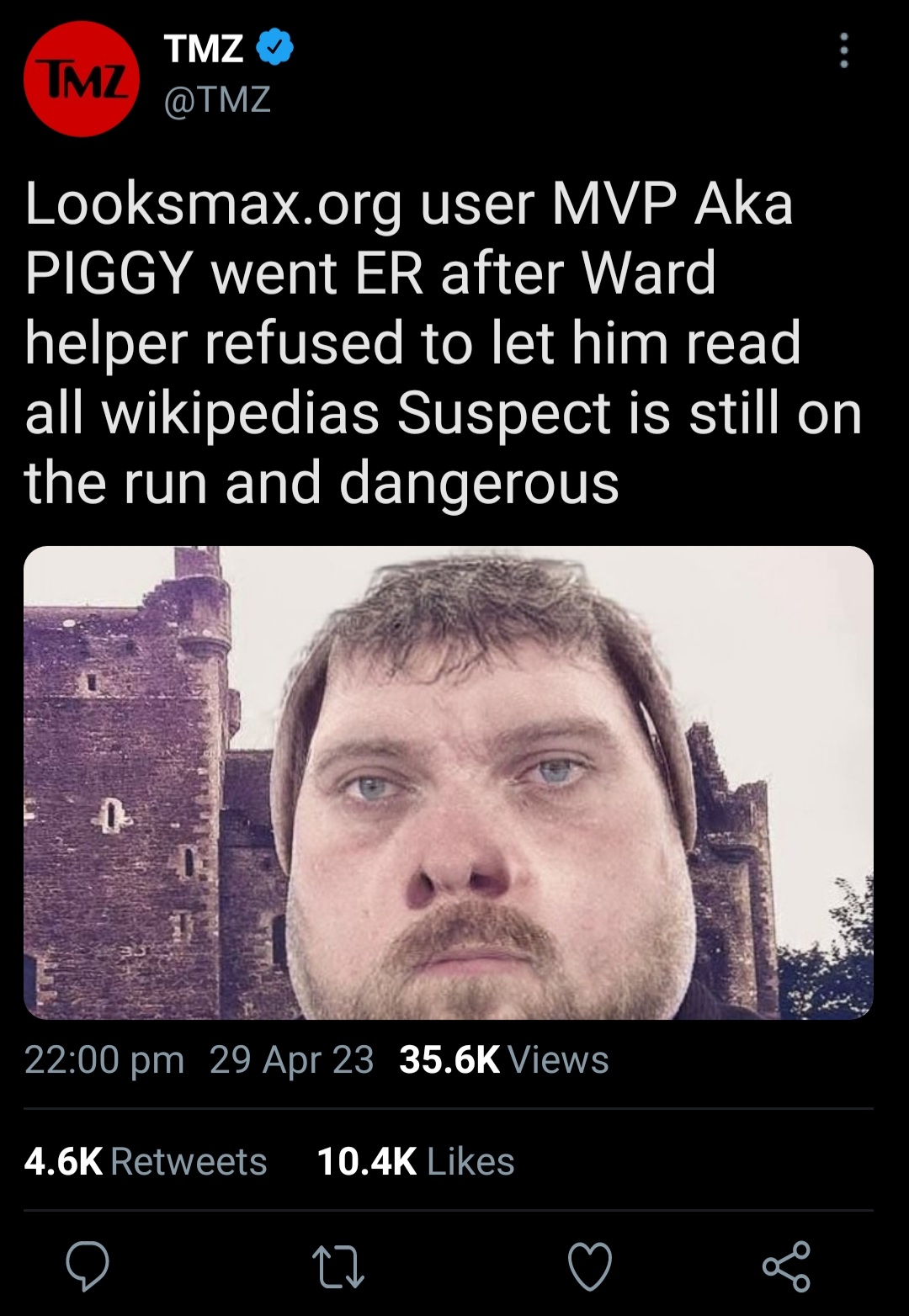 Screenshot 20230429 220255 Fake Tweet