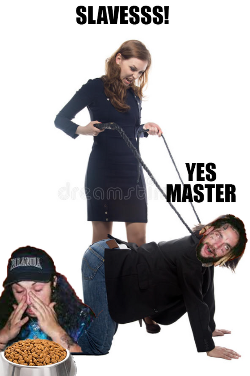3329488_1679547939482.png