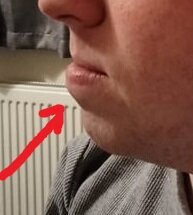 3382238 gsgk1wb2eowa1