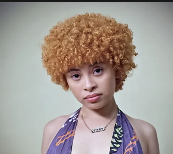 3386361 095E84D2 C602 44FA 8DED 15188513F8A0