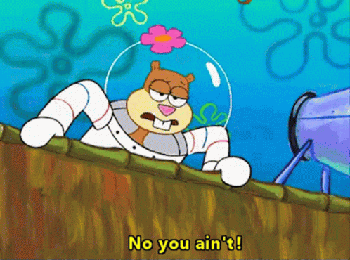 IMG 3936