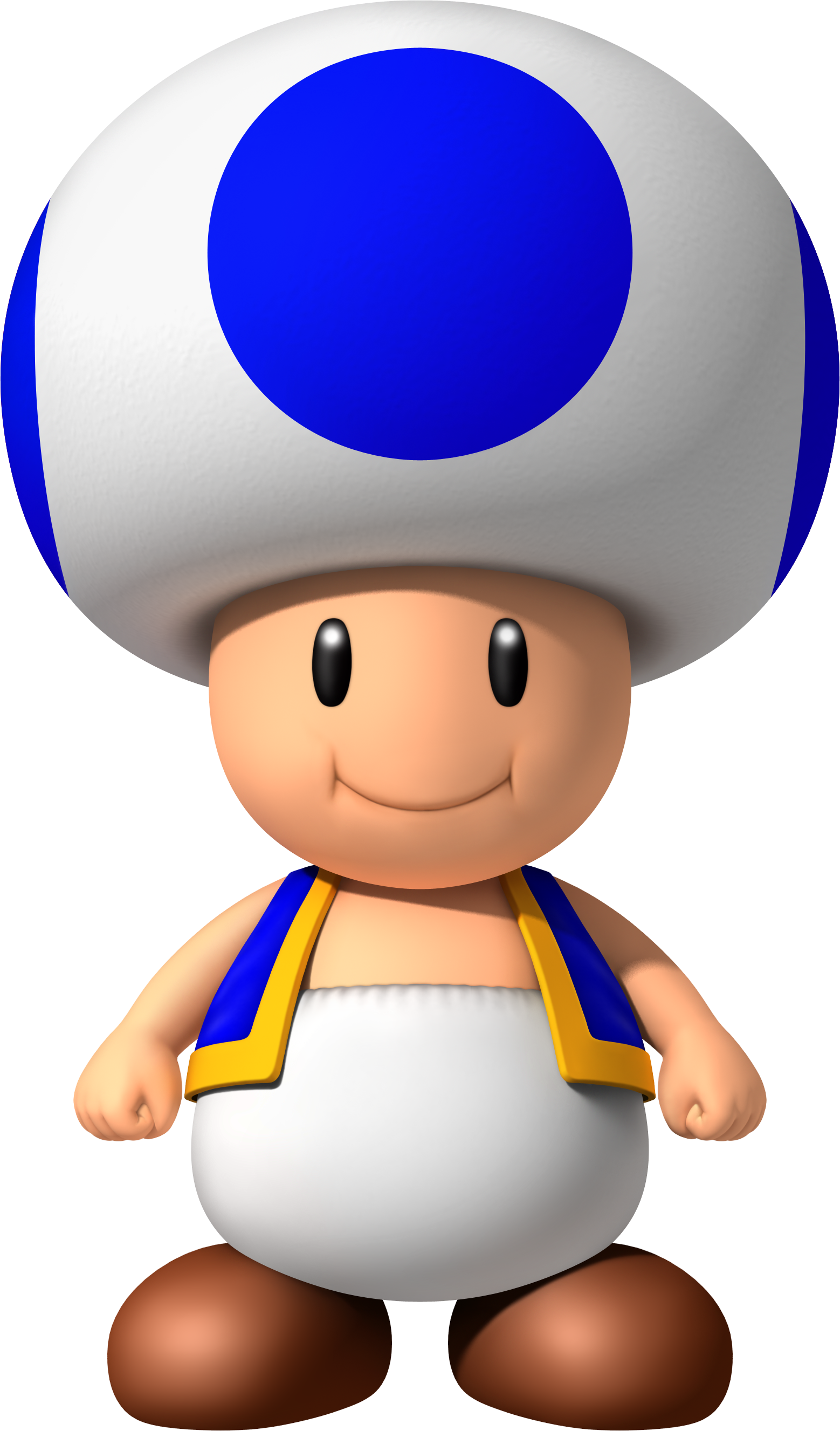NSMBW Blue Toad Main Artwork