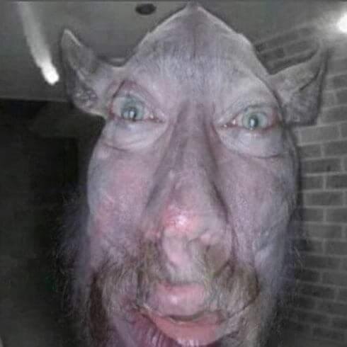 3391389 3387153 3386292 IMG 3912