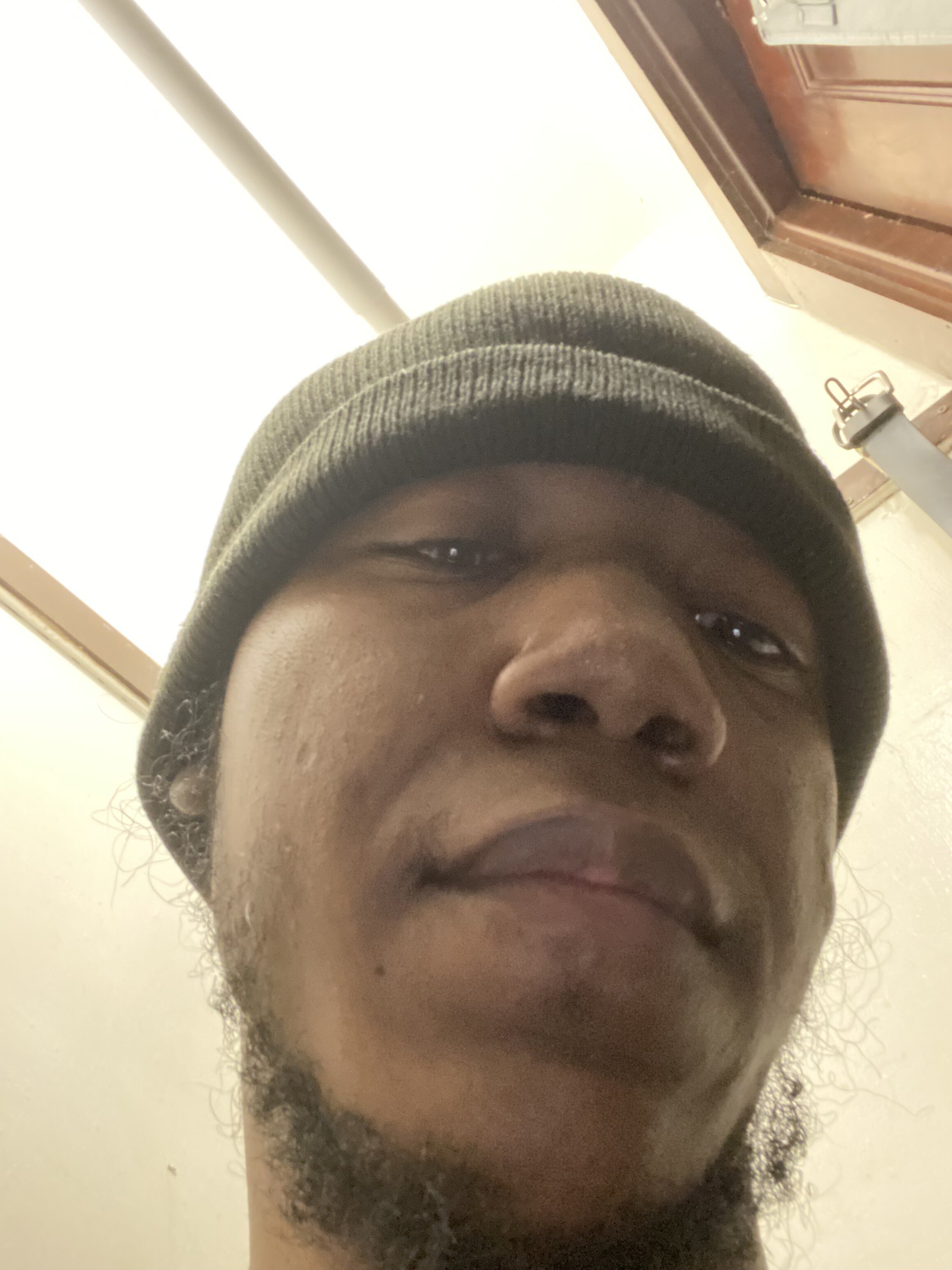 3381830 1682711946041