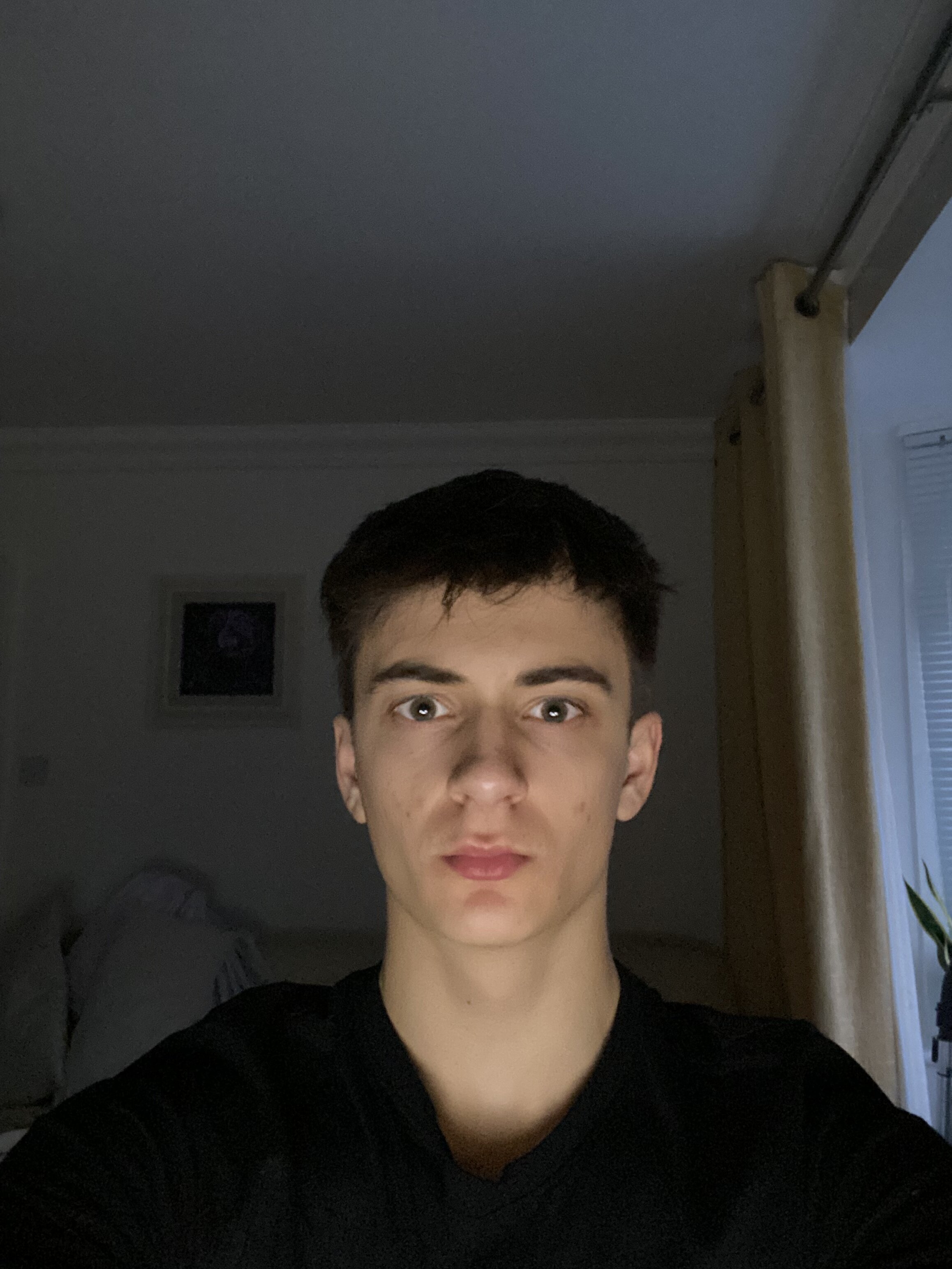 IMG 2942