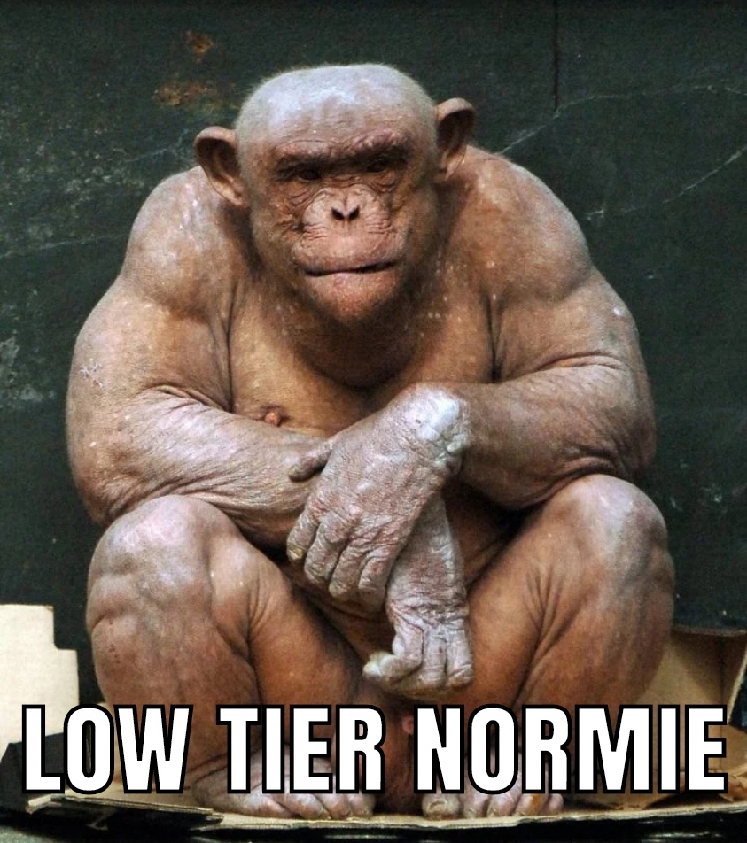 Mematic 20230506 032924 edit 153828147984858