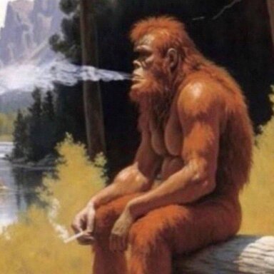 24560