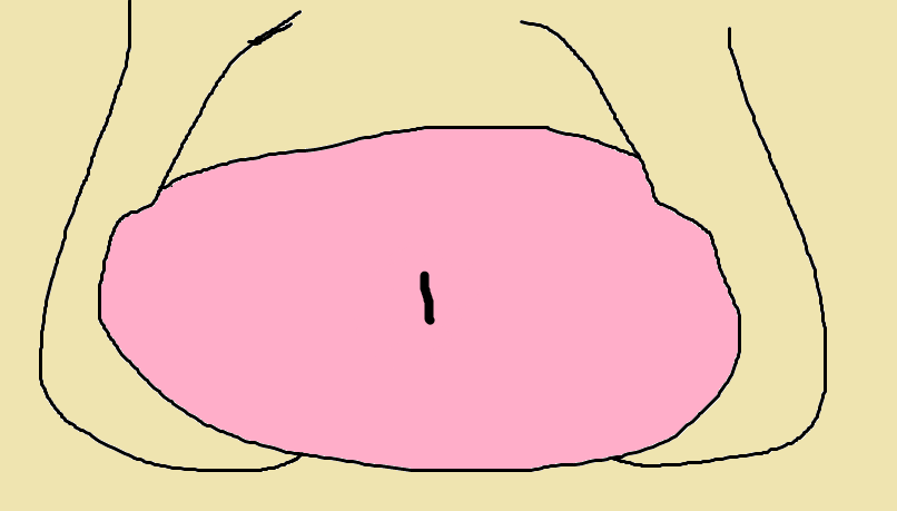 Pania