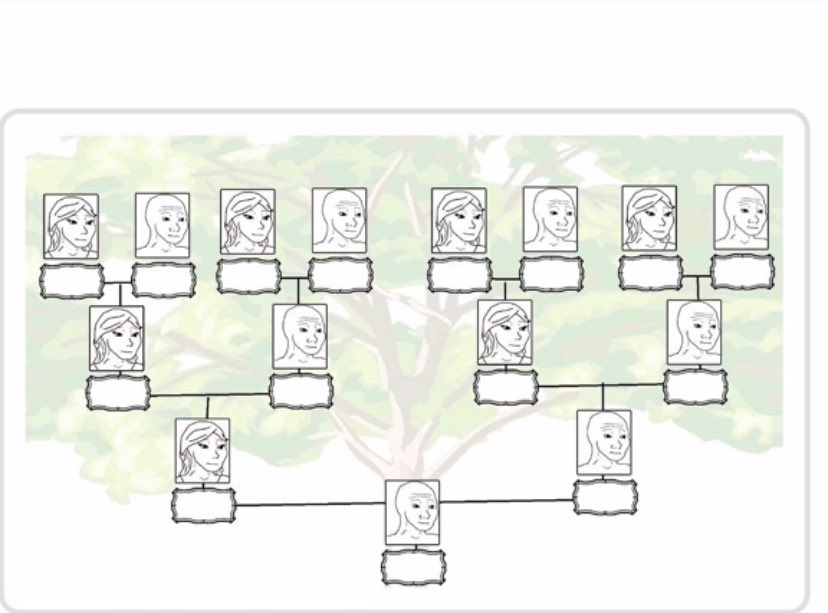 E081056E 15DC 4613 AE98 8E05C2226D24